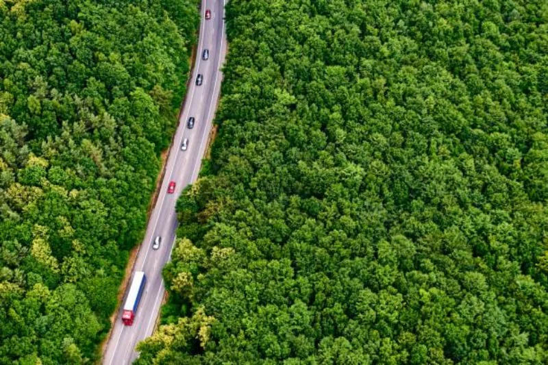 Imagem ilustrativa de Recuperação ambiental de áreas degradadas